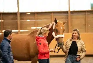 Equicoaching qu'est-ce que c'est et à quoi ça sert